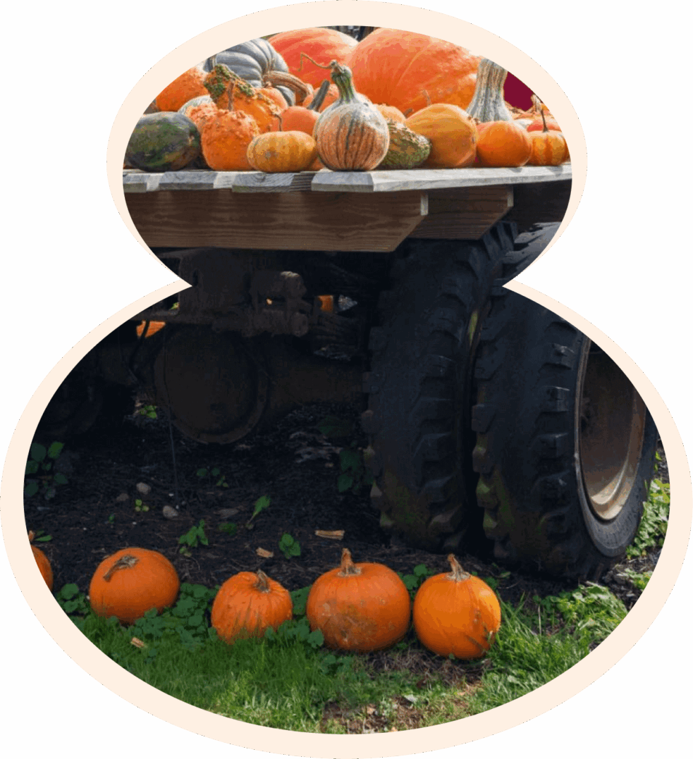 Pumpkins and gourds on a wooden cart.