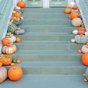 Pumpkins of various sizes line both sides of outdoor stairs.